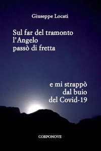 Immagine copertina libro Sul far del tramonto l'angelo passò di fretta e mi strappò dal buio del Covid-19