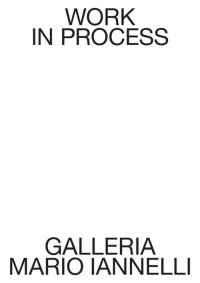 Immagine copertina libro Work in process. Galleria Mario Iannelli