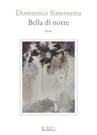 Immagine copertina libro Bella di notte