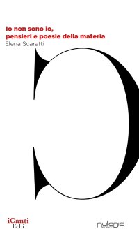 Immagine copertina libro Io non sono io, pensieri e poesie della materia