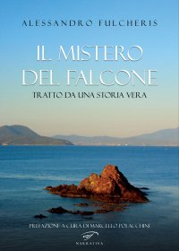 Immagine copertina libro Il mistero del falcone