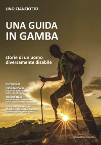 Immagine copertina libro Una guida in gamba. Storie di un uomo diversamente disabile