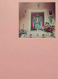 Immagine copertina libro Aedes. Ediz. illustrata