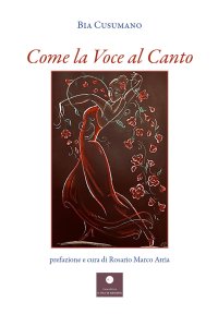 Immagine copertina libro Come la voce al canto