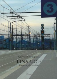 Immagine copertina libro Binario 3. Viaggio tra politica e diritto