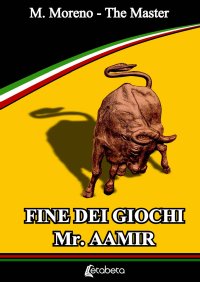 Immagine copertina libro Fine dei giochi Mr. Aamir