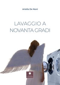 Immagine copertina libro Lavaggio a novanta gradi