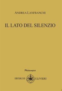 Immagine copertina libro Il lato del silenzio