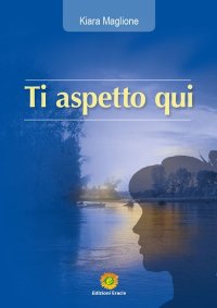 Immagine copertina libro Ti aspetto qui