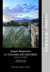 Immagine copertina libro Il colore dei ricordi