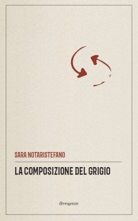 Immagine copertina libro La composizione del grigio