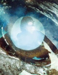 Immagine copertina libro Alexandre Estrela and João Maria Gusmão + Pedro Paiva: Lua Cão. Ediz. bilingue