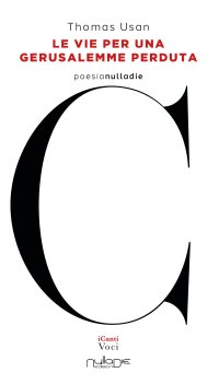 Immagine copertina libro Le vie per una Gerusalemme perduta