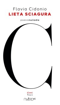 Immagine copertina libro Lieta sciagura