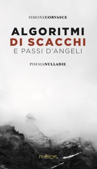 Immagine copertina libro Algoritmi di scacchi e passi d'angeli