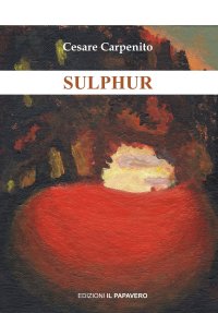 Immagine copertina libro Sulphur
