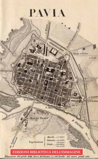 Immagine copertina libro Regno Lombardo-Veneto. Pavia