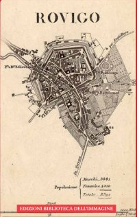 Immagine copertina libro Regno Lombardo-Veneto. Rovigo