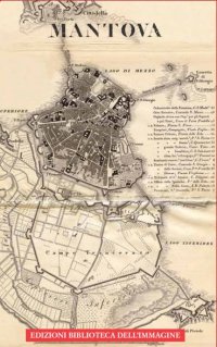 Immagine copertina libro Regno Lombardo-Veneto. Mantova