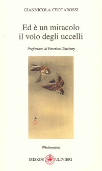 Immagine copertina libro Ed è un miracolo il volo degli uccelli