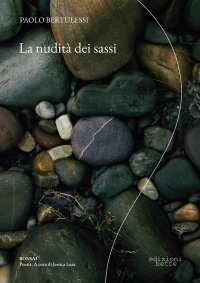 Immagine copertina libro La nudità dei sassi