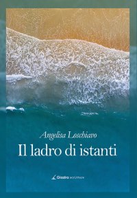 Immagine copertina libro Il ladro di istanti