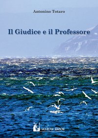 Immagine copertina libro Il giudice e il professore