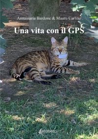 Immagine copertina libro Una vita con il GPS