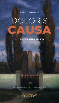 Immagine copertina libro Doloris causa
