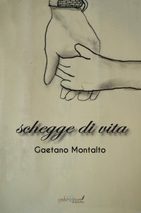 Immagine copertina libro Schegge di vita