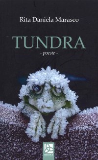 Immagine copertina libro Tundra