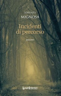 Immagine copertina libro Incidenti di percorso