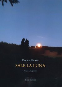 Immagine copertina libro Sale la luna. Poesie e fotogrammi