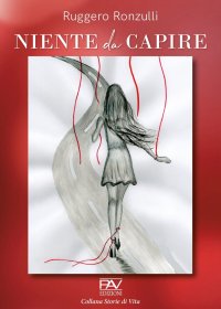 Immagine copertina libro Niente da capire