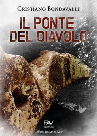 Immagine copertina libro Il ponte del diavolo