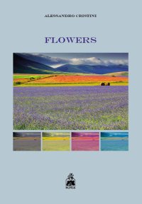 Immagine copertina libro Flowers