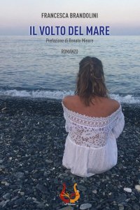 Immagine copertina libro Il volto del mare