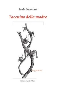 Immagine copertina libro Taccuino della madre