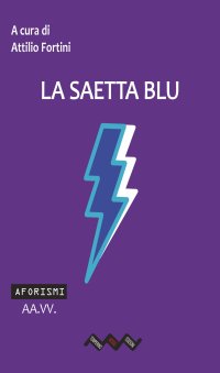 Immagine copertina libro La saetta blu