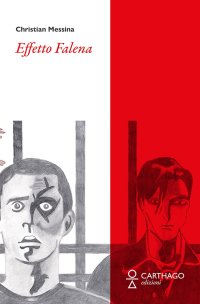 Immagine copertina libro Effetto Falena