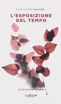 Immagine copertina libro L'esposizione del tempo