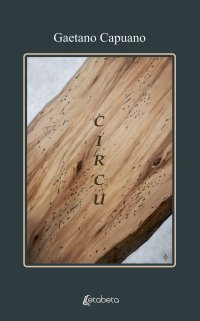 Immagine copertina libro Circu