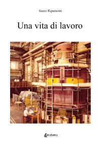 Immagine copertina libro Una vita di lavoro