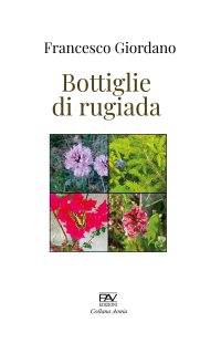 Immagine copertina libro Bottiglie di rugiada