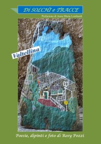 Immagine copertina libro Di solchi e tracce. Valtellina
