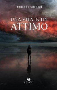 Immagine copertina libro Una vita in un attimo