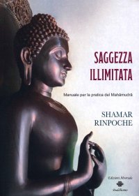 Immagine copertina libro Saggezza illimitata. Manuale per la pratica del Mahàmudrà