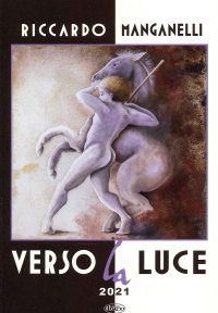 Immagine copertina libro Verso la luce