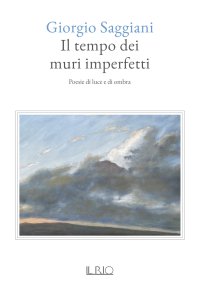 Immagine copertina libro Il tempo dei muri imperfetti. Poesie di luce e di ombra