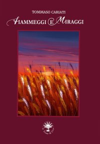 Immagine copertina libro Fiammeggi e miraggi